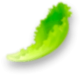 Herb top center